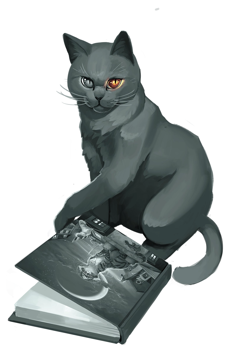 研读规则书的猫