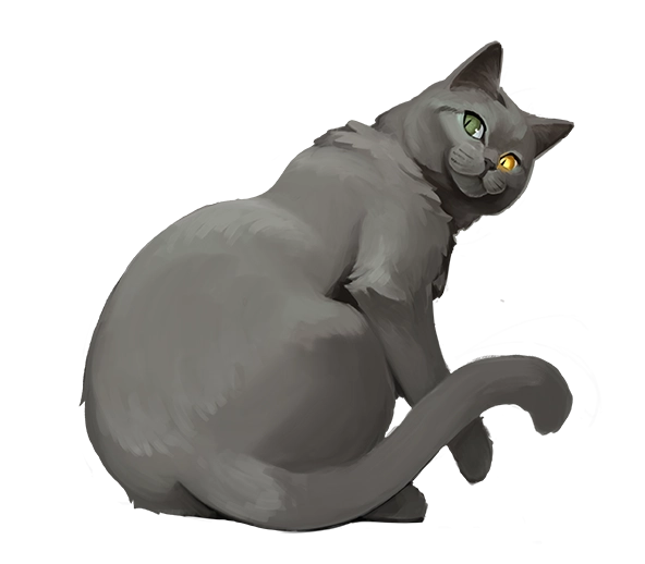 夏特尔猫